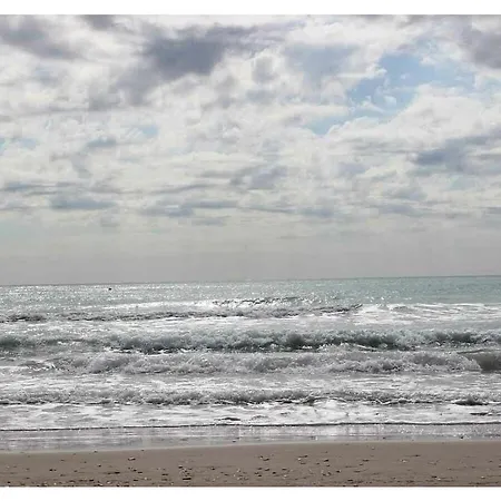Hooksieler Baerenblick Near Klostermann Hooksiel