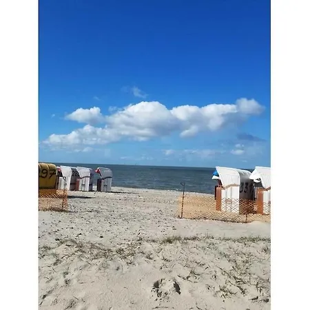 Hooksieler Baerenblick Near Klostermann * Hooksiel